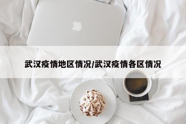 武汉疫情地区情况/武汉疫情各区情况